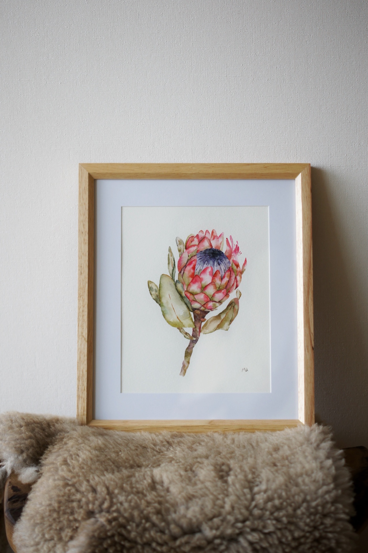 Protea